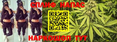 индика Лесосибирск