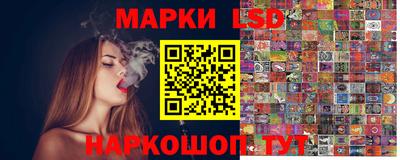индика Лесосибирск
