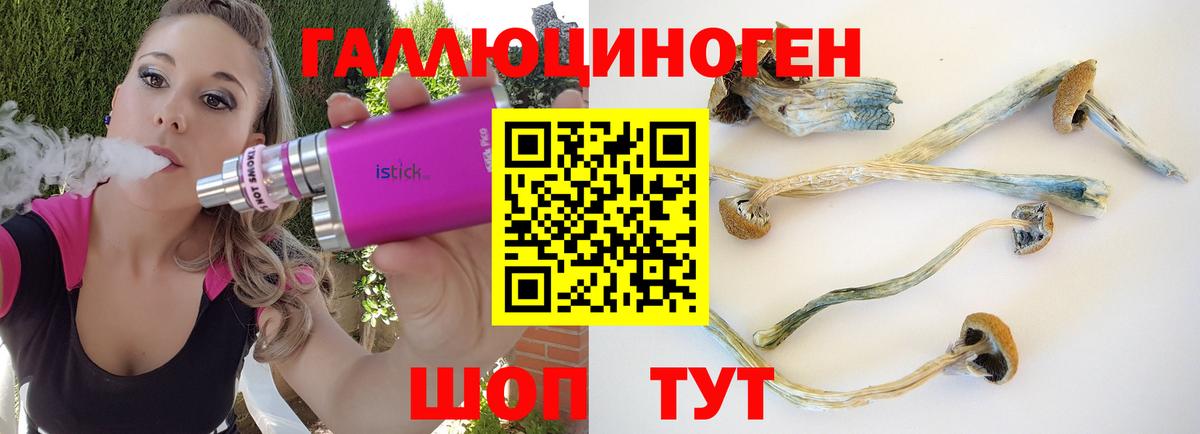 Шали  Псилоцибиновые грибы MAGIC MUSHROOMS  Псилоцибиновые грибы Psilocybe  Вход с VPN 